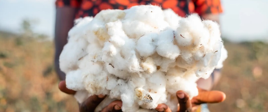 Cotton made in Africa